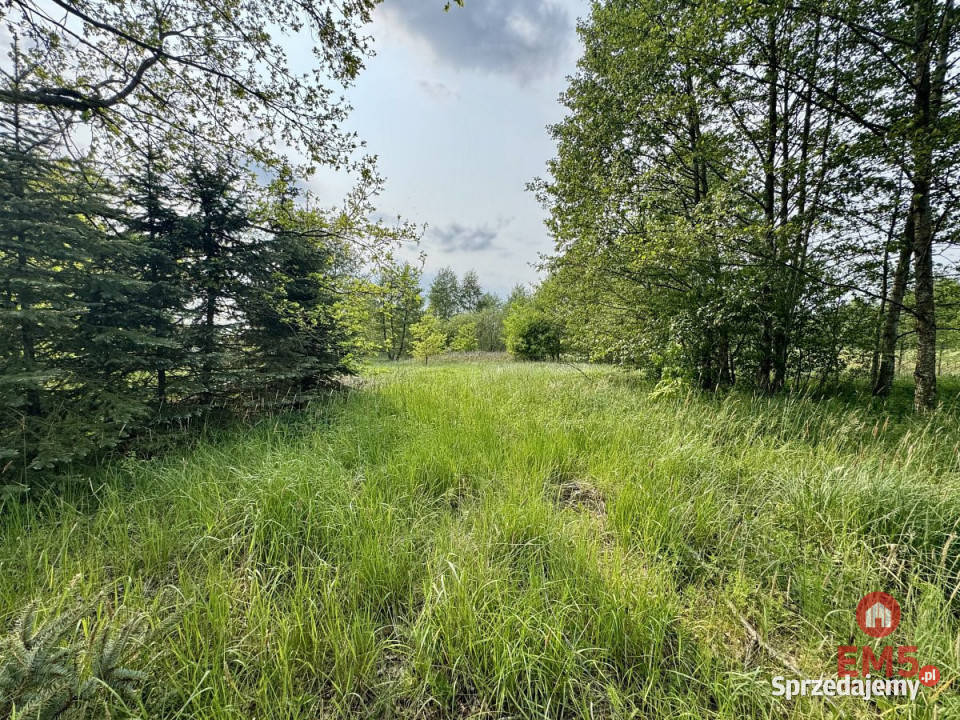 sprzedaży gruntu 2900m2 Kosmaty Borek budowlana