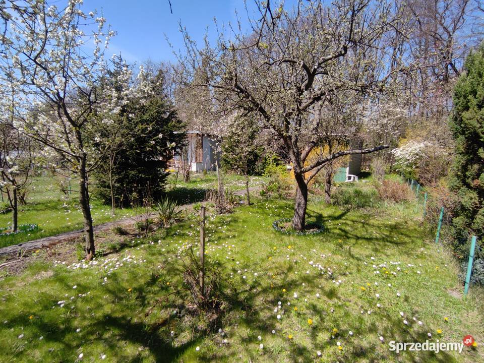 Działka ROD Łagiewniki Domek piwnica media prąd łódzkie Łódź