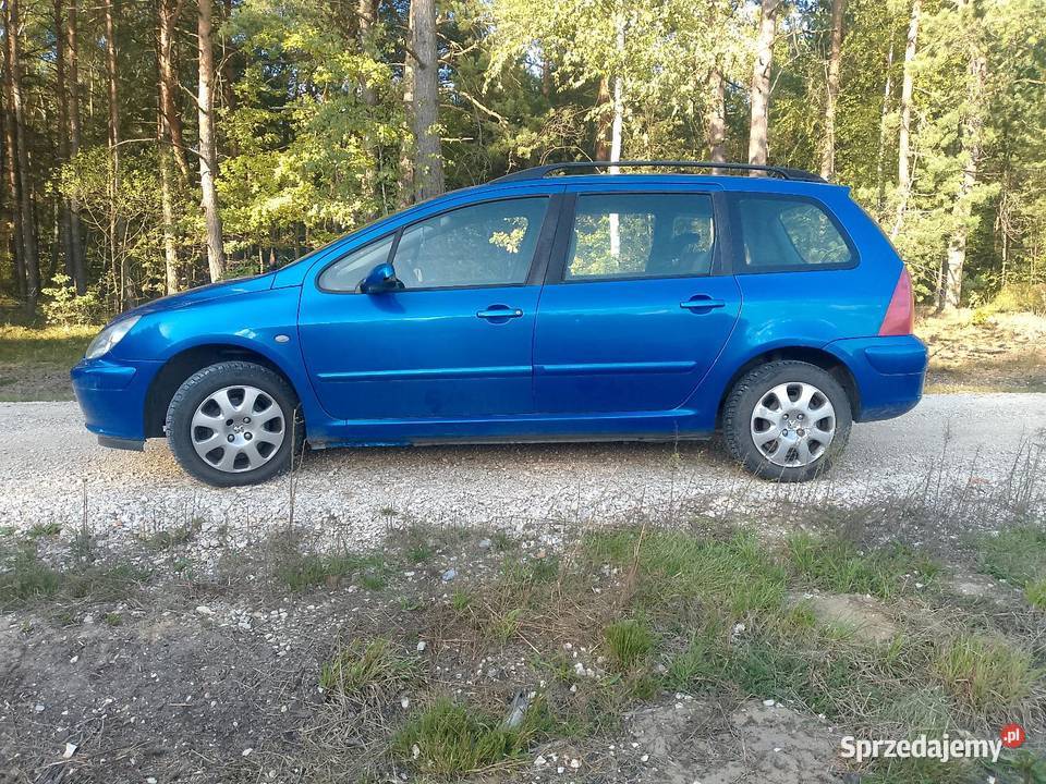 Peugeot 307 16 B Okazja immobilizer sprzedam