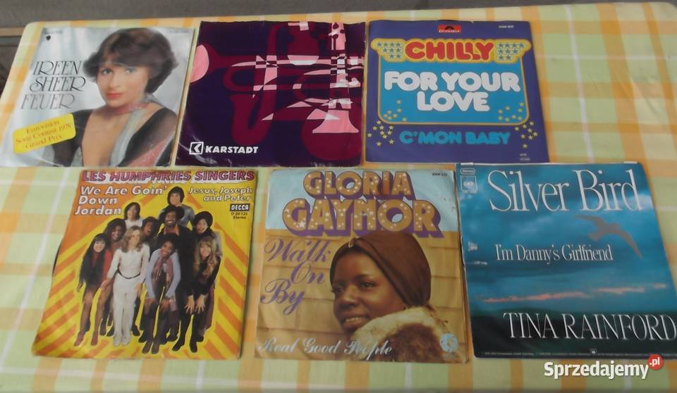 Płyty i Single Winylowe Sztuk 33