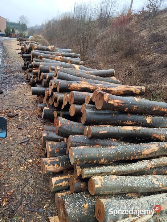 Drewno kominkowe buk 692805945 Dąbrowa Górnicza