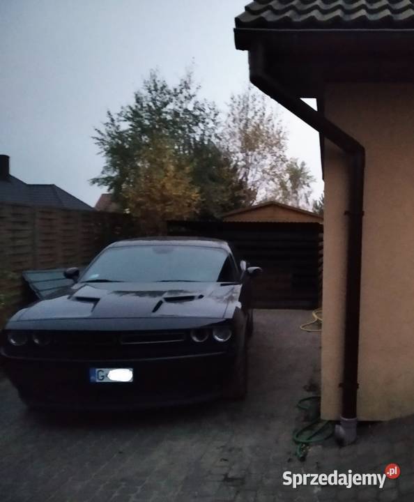 Dodge Challenger 36 benzyna