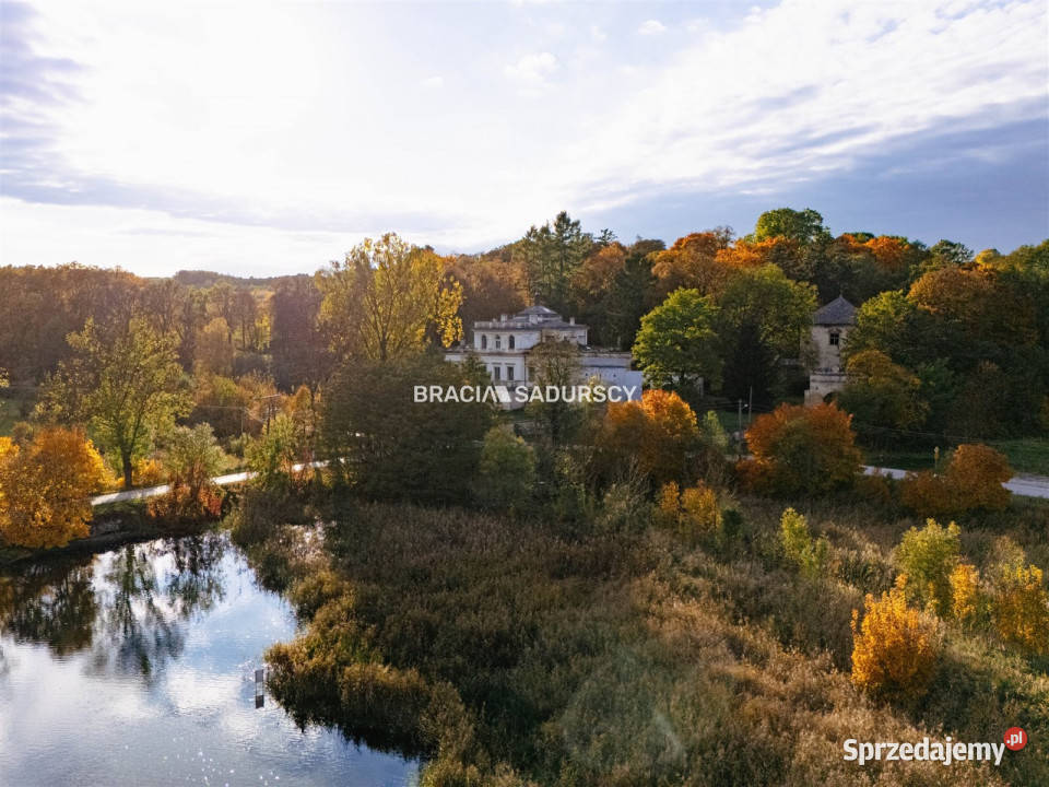 Sprzedam lokal Działoszyce 982m2