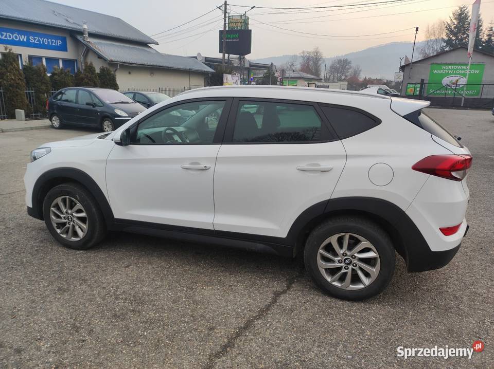 Hyundai Tucson 17 CRDi 115 2016 210 Biały Kamesznica