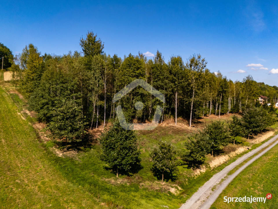 Działka lesie z WZ 34 ar 16 ar las Zagorzyce