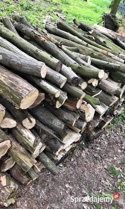 Drewno opałowe kominkowe w Dom i Ogród Zawoja