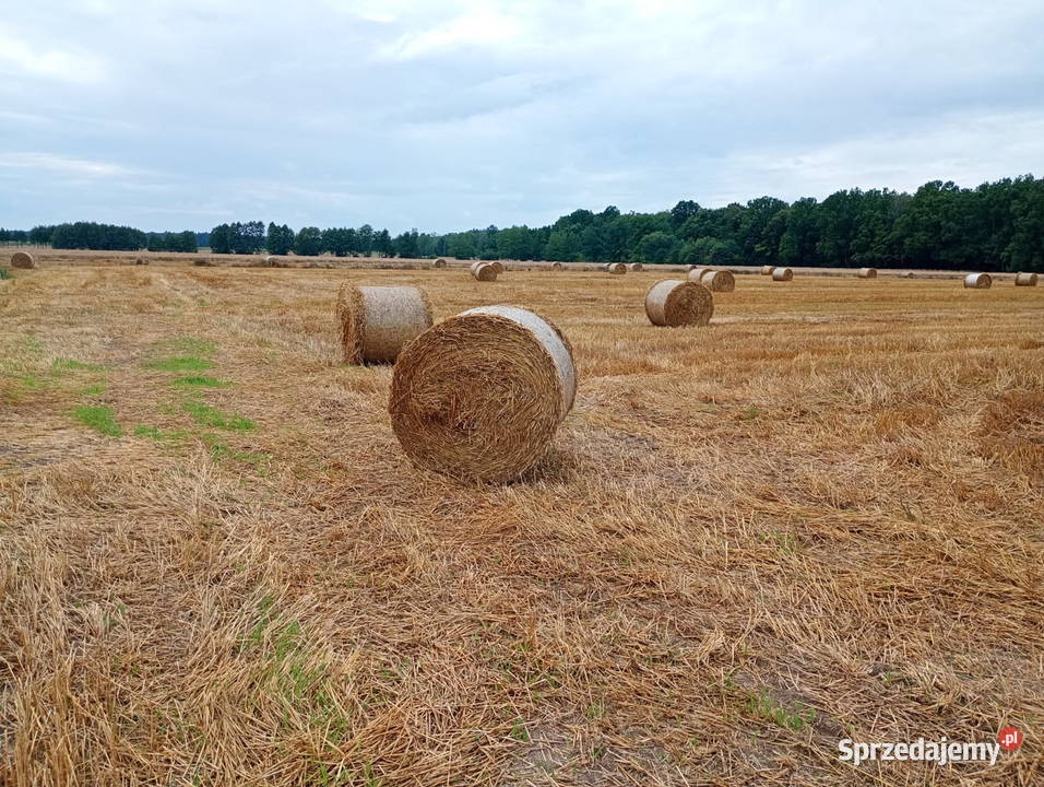 Słoma w belach