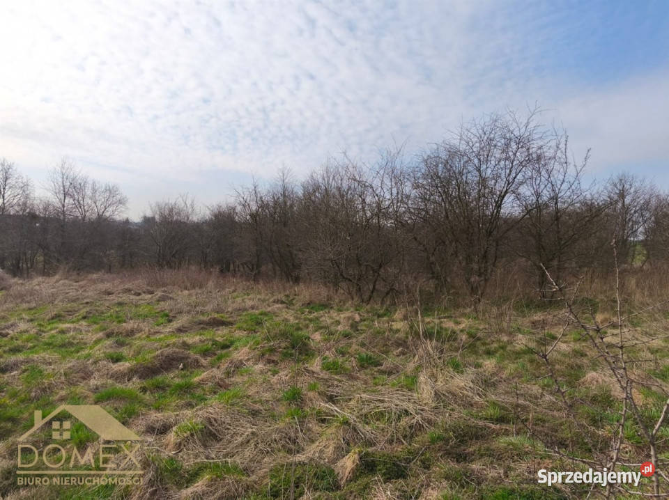 sprzedaży działki Czernica 7500m2 asfalt