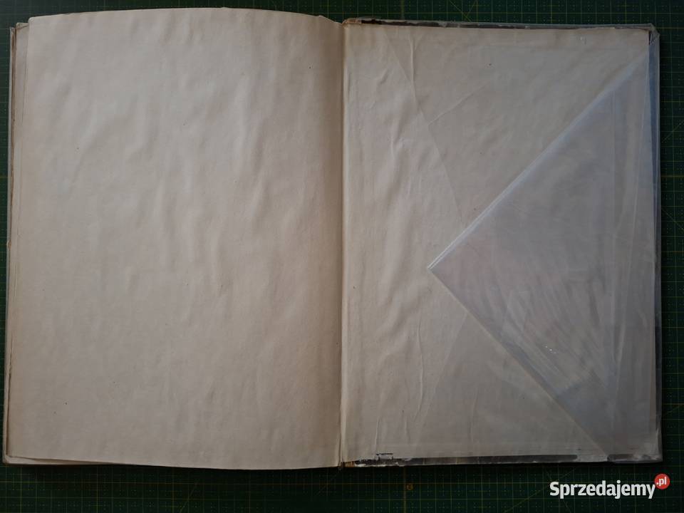 W dolinie Sanu St Pagaczewski Aleksander Haupt małopolskie sprzedam