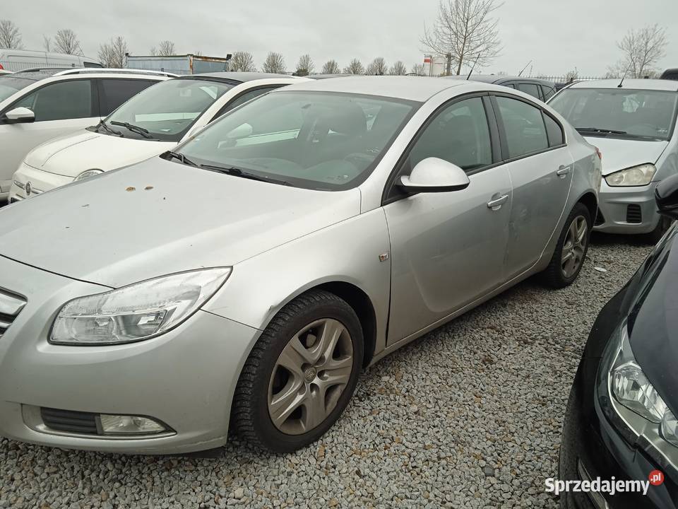 Insignia benzyna Dębe