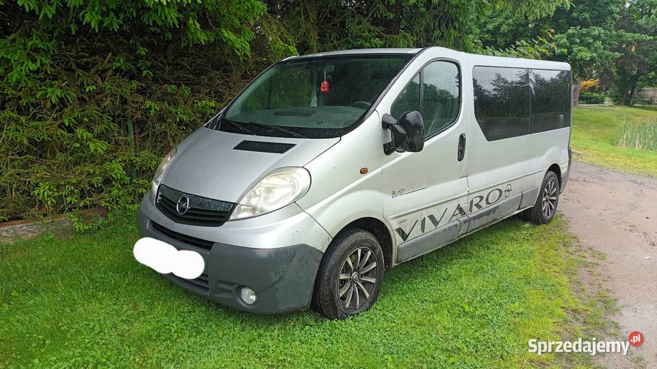 Zamiana Vivaro Long 6osób Ładny stuka