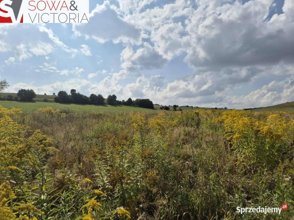 Działka w Strudze bez zabudowań w sąsiedztwie polna Struga