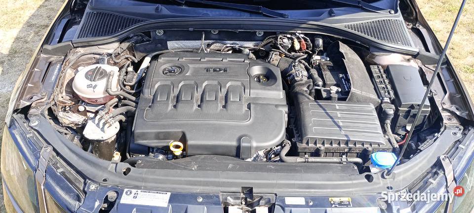 Skoda Octavia 16 TDI 115 2019 Mega Auto brązowy Radomsko