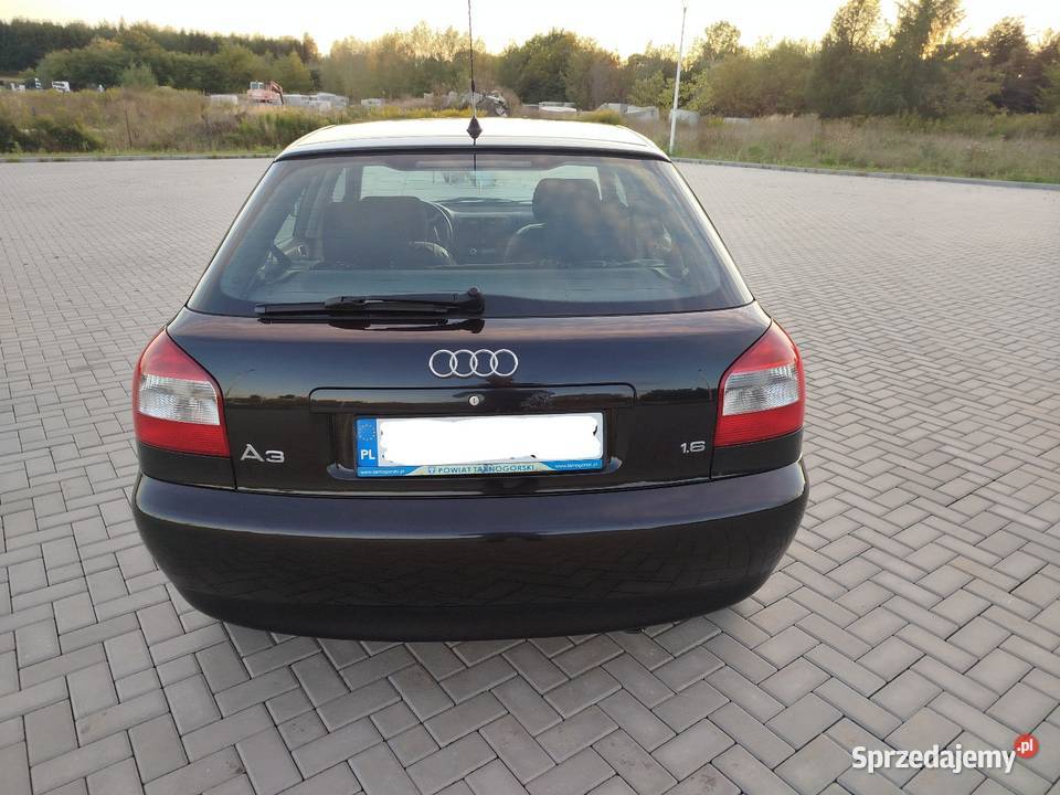A3 8L 16 Benzyna 2003 5 drzwi Jeden właściciel nieuszkodzony Świdnik