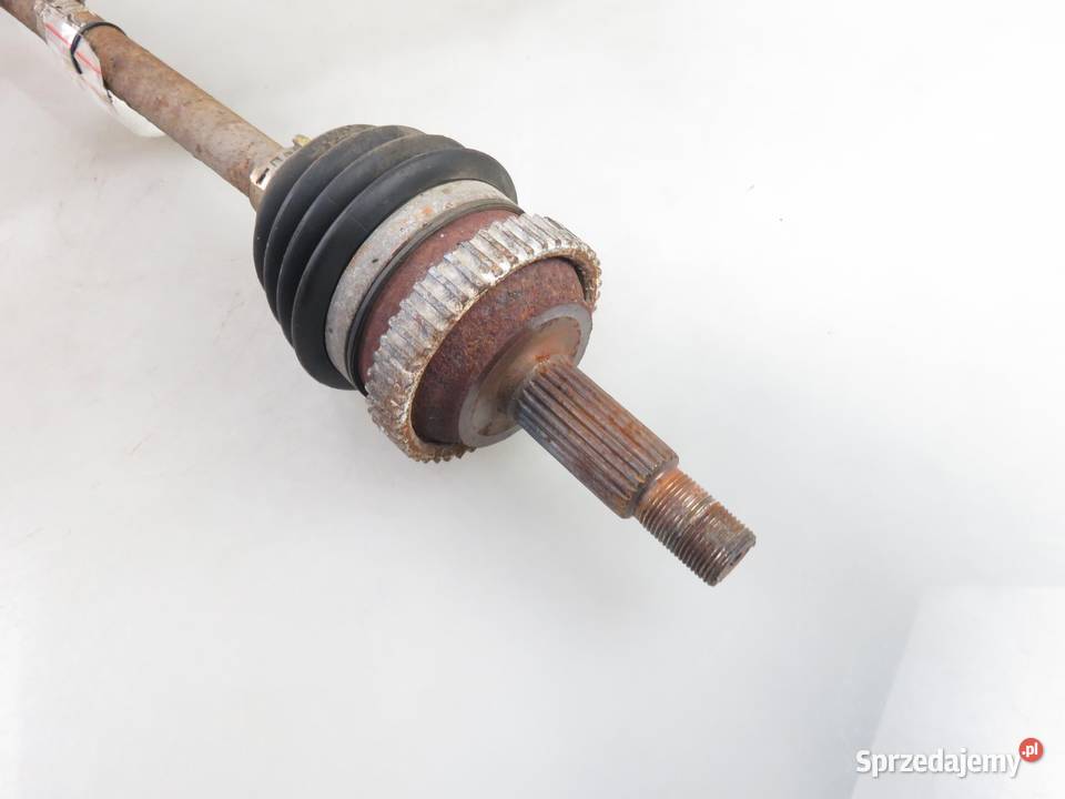 PÓŁOŚ PRAWA TYLNA RENAULT KANGOO I 19 dCi 4x4