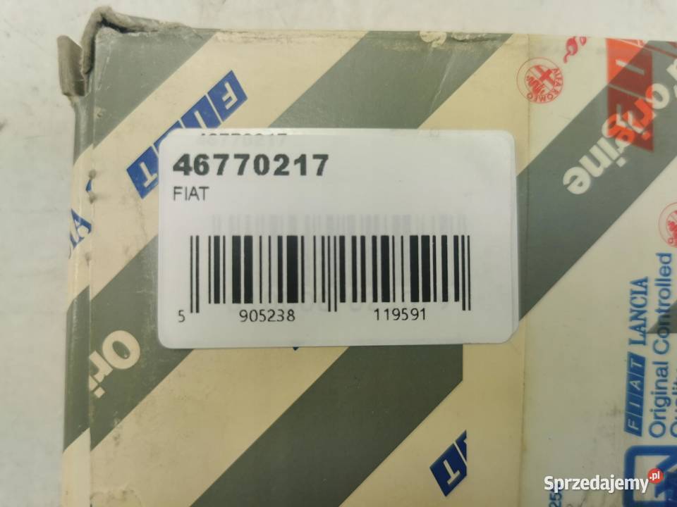 PASEK KLINOWY WIELOROWKOWY FIAT BRAVO 19 D lubelskie