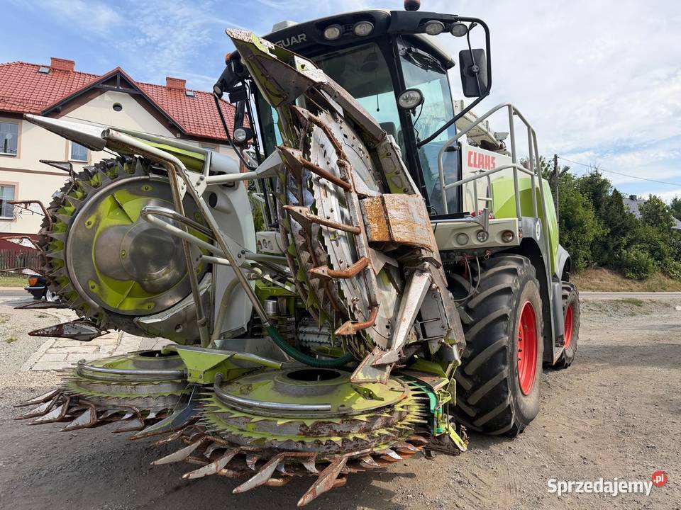 Sieczkarnia do kukurydzy Claas Jaguar 950 w Claas Nowa Ruda