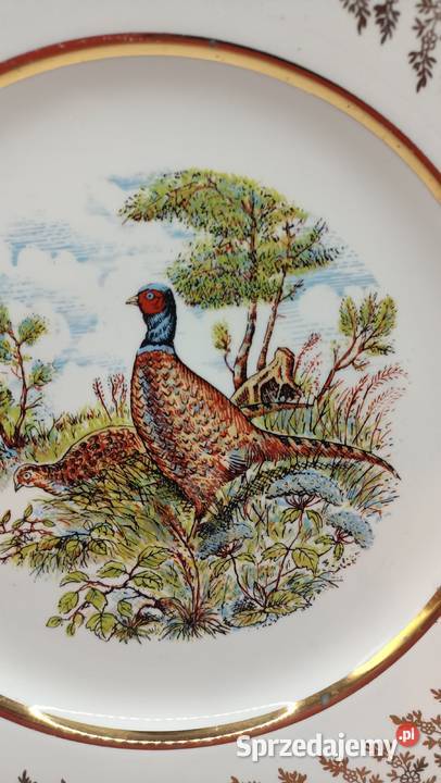 Talerz vintage porcelana kostna ptaki bażanty Zamość