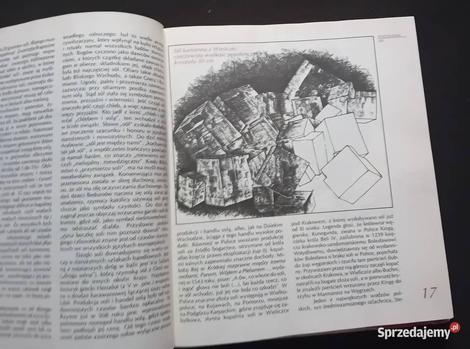 Władysław Kopaliński Opowieści o rzeczach Koźminek