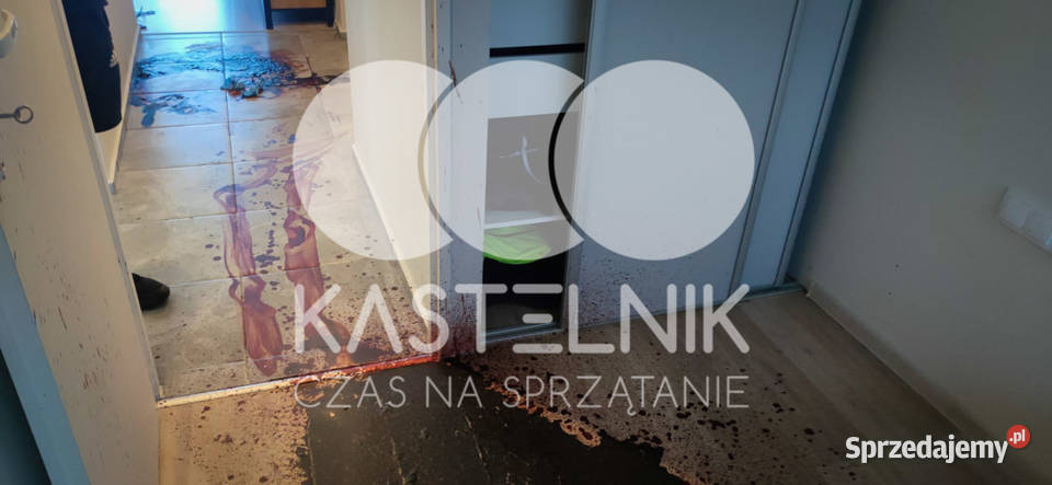 Sprzątanie zgonach Łańcut Kastelnik Dezynfekcja podkarpackie
