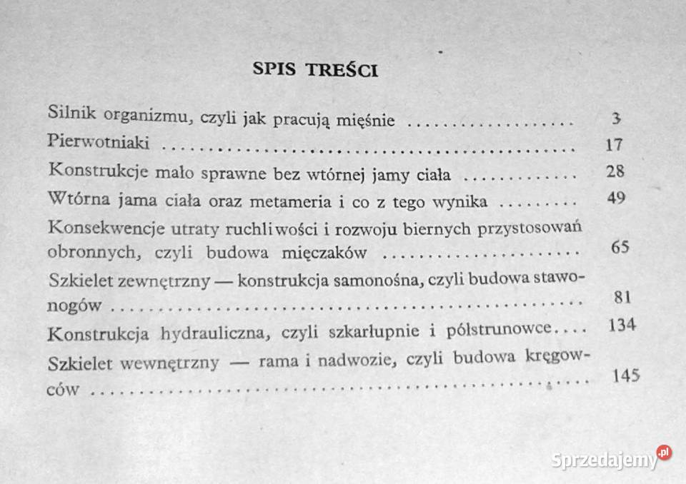 poruszają się zwierzęta K A Dobrowolski Pozostałe Chełm