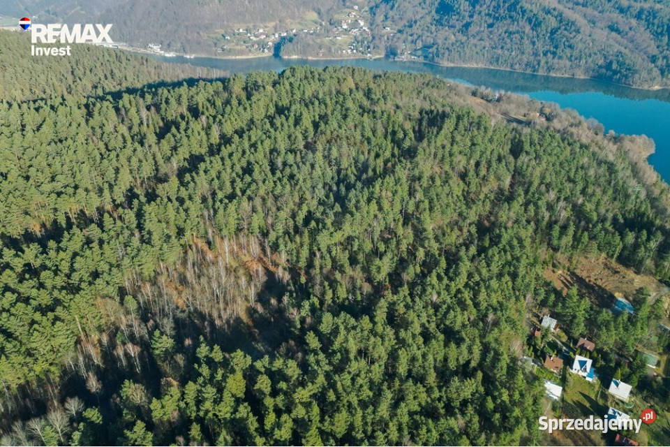 DZIAŁKA LEŚNA GRATKA INWESTORA 22196m2 sprzedam