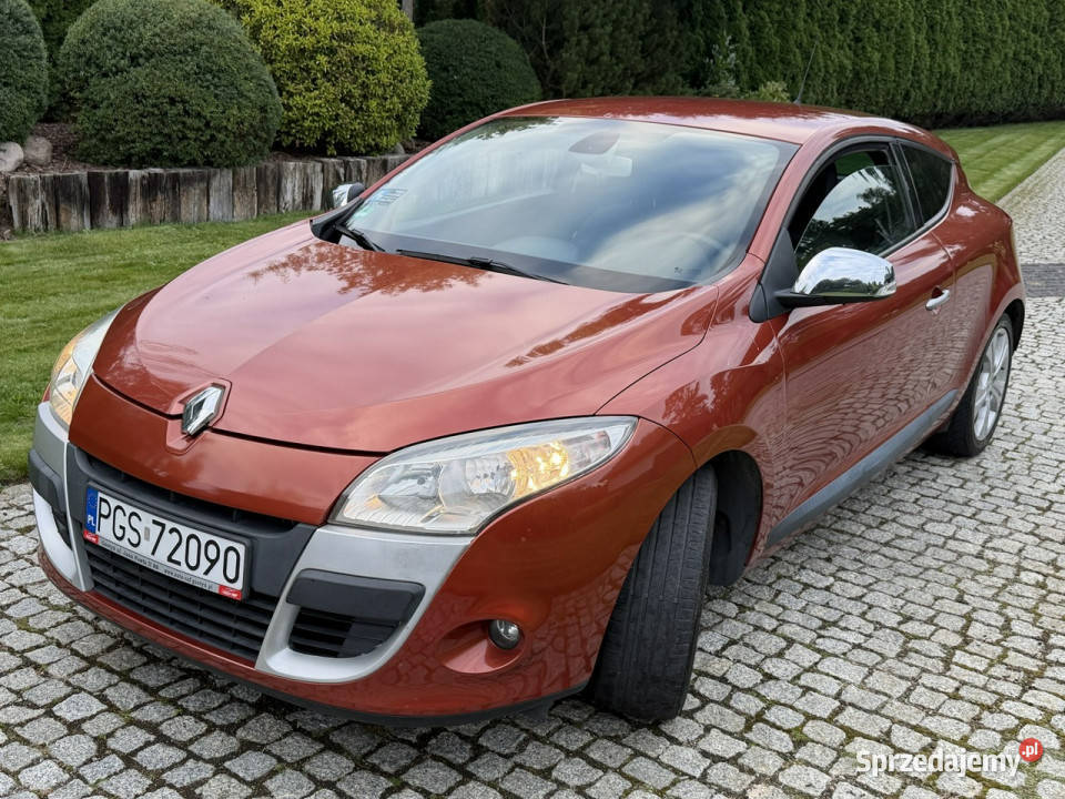 Renault Megane Renault Megane Coupe 16 Dynamique wspomaganie kierownicy Megane Gostyń