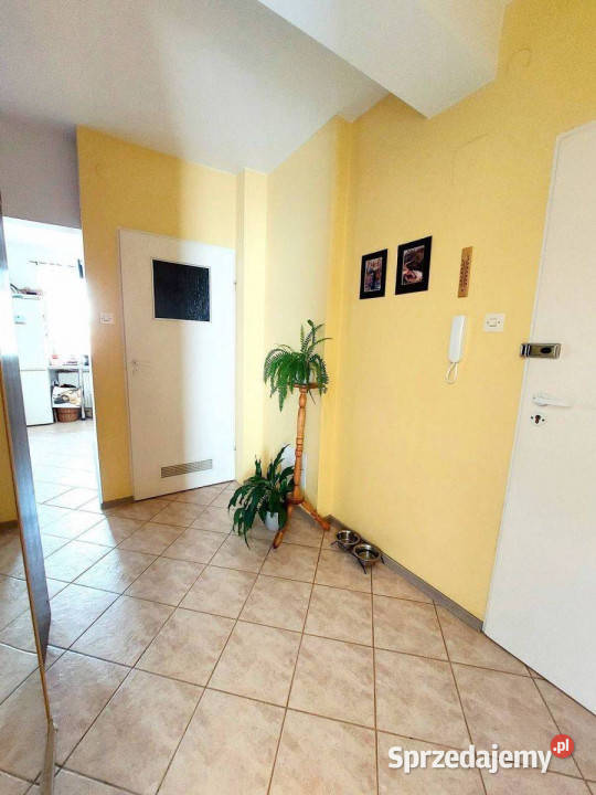 Żabiniec 3 pokoje balkon jasna kuchnia Rok budowy 1999 Mieszkania Kraków