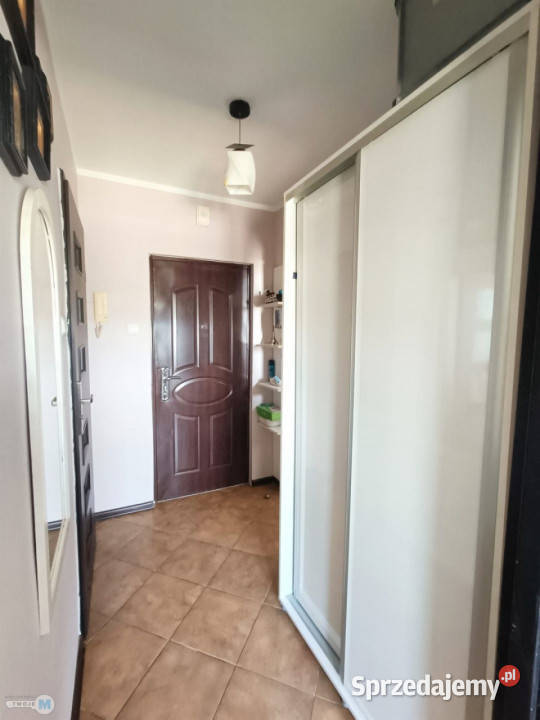 Mieszkanie 291m2 1 pokojowe Kielce Liczba pokoi 1 Mieszkania