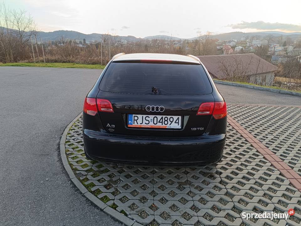 Audi A3 8P 19tdi 5 drzwi sportback Nowy Żmigród sprzedam