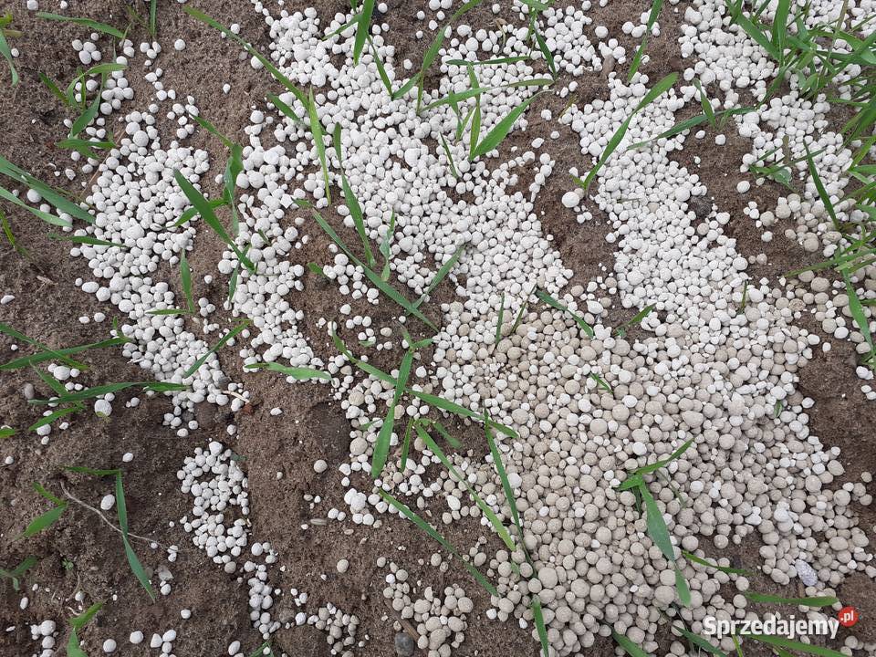 Wapno Granulowane nawozowe Kreda Cała Polska Kleszczów