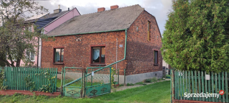 Dom z cegły z dużą działką budynki gospodarcze