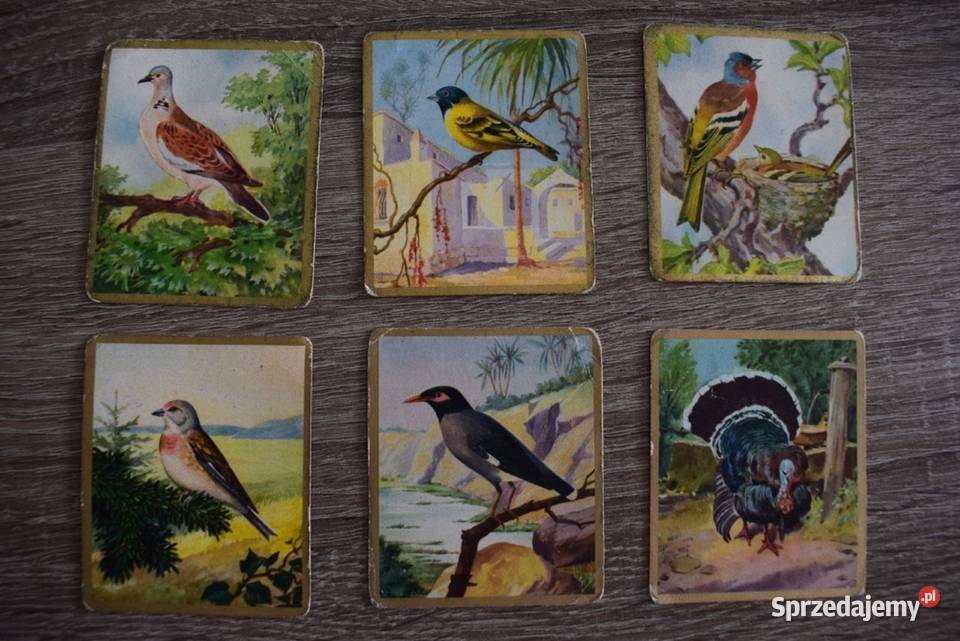 Znaczki obrazki z lat 30 40 tych Ptaki plus