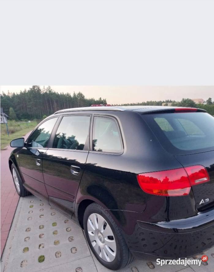 Audi A3 8P 19 TDIPiękna A3 Czarna Woda
