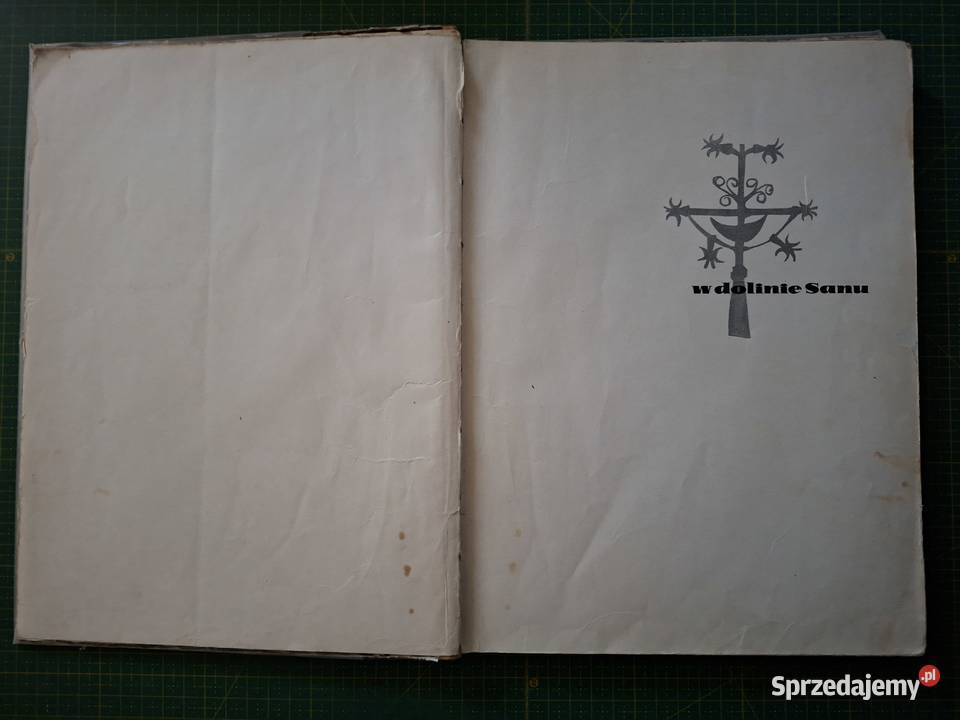 W dolinie Sanu St Pagaczewski Aleksander Haupt sprzedam