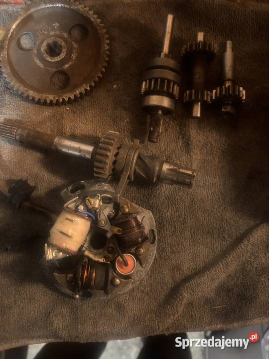 kartery romet Strzegom