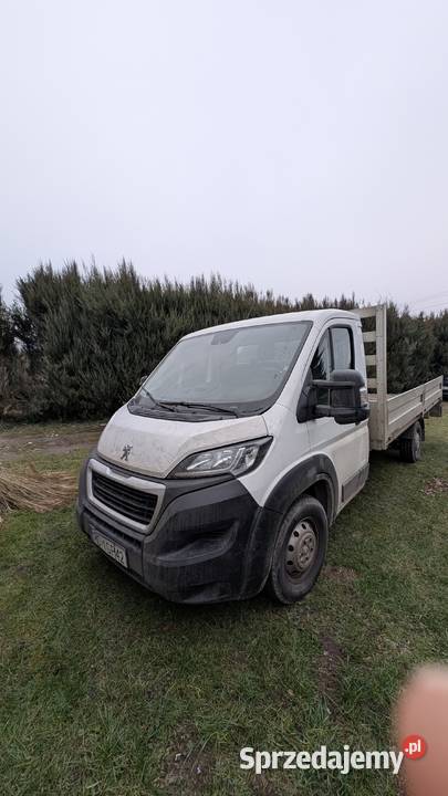 Syndyk sprzeda Peugeot BOXER z 2018 Skrzynie wielkopolskie Luboń