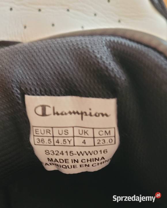 Buty Champion 365 pomorskie