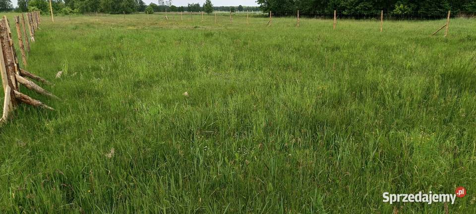 Koszenie trawy karczowanie czyszczenie działek Częstochowa
