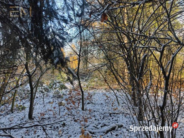sprzedaży gruntu 6000m2 Babica telefon