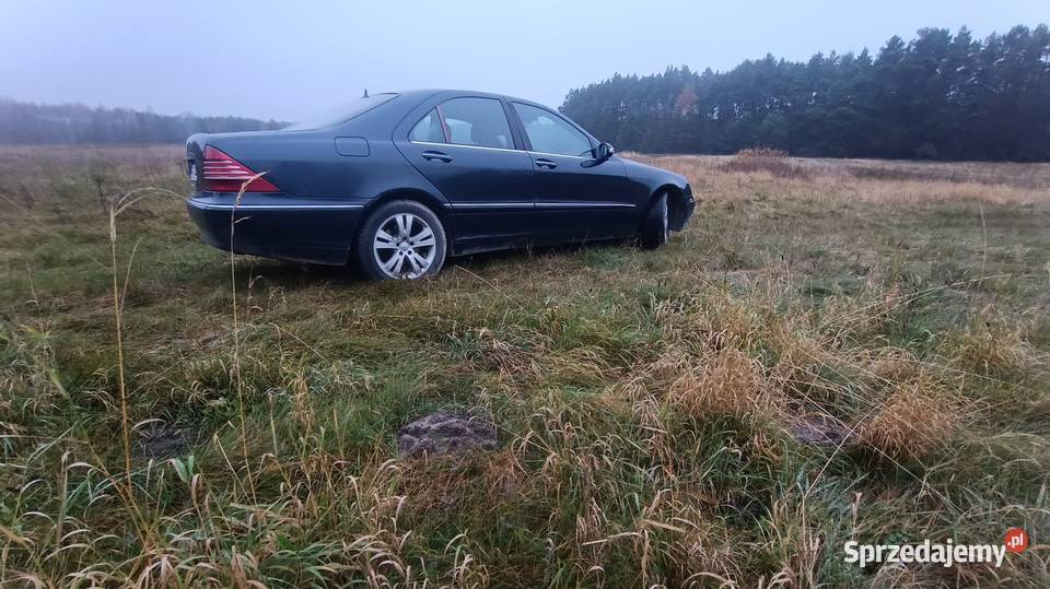 S320 32 CDI 204 konie myślę że stan Małogoszcz