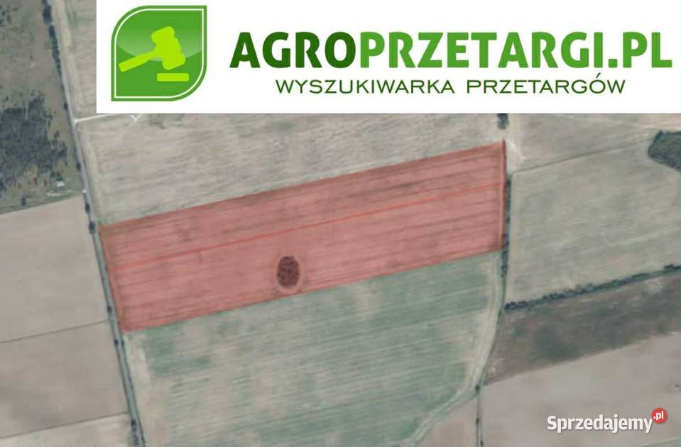 Dzierżawa 2912 ha gruntu rolnego