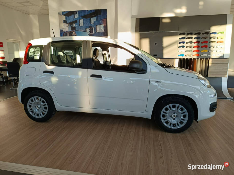 Fiat Panda Pandina Icon 10 hybrid 70 III 2011 Hatchback Nowy Sącz