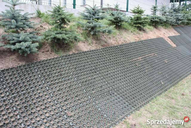 Kratka drogowotrawnikowa Tarnów