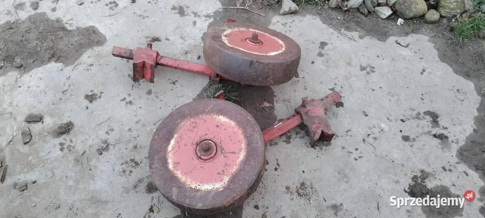 Gruber fostchritt 22m 11 łap Derc