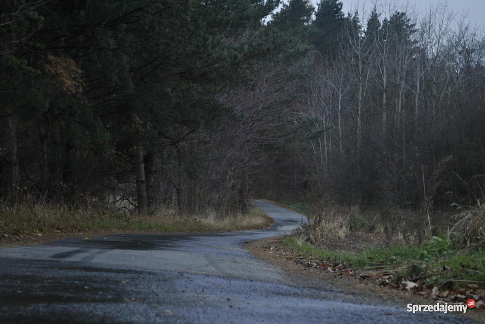 Tani Domek pod lasem Grochowa sprzedam