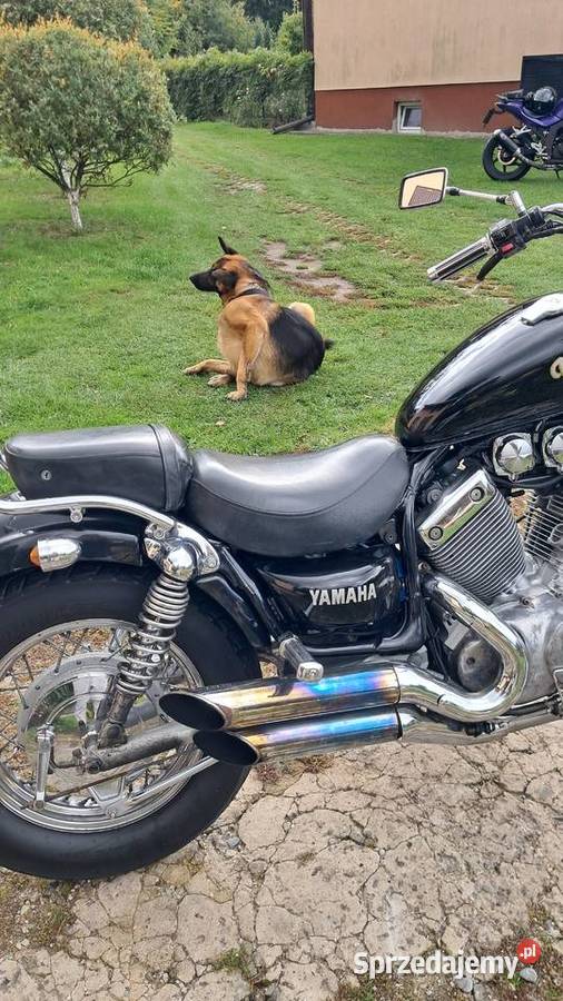 Yamaha Virago 535cc Rok produkcji 1995 podkarpackie