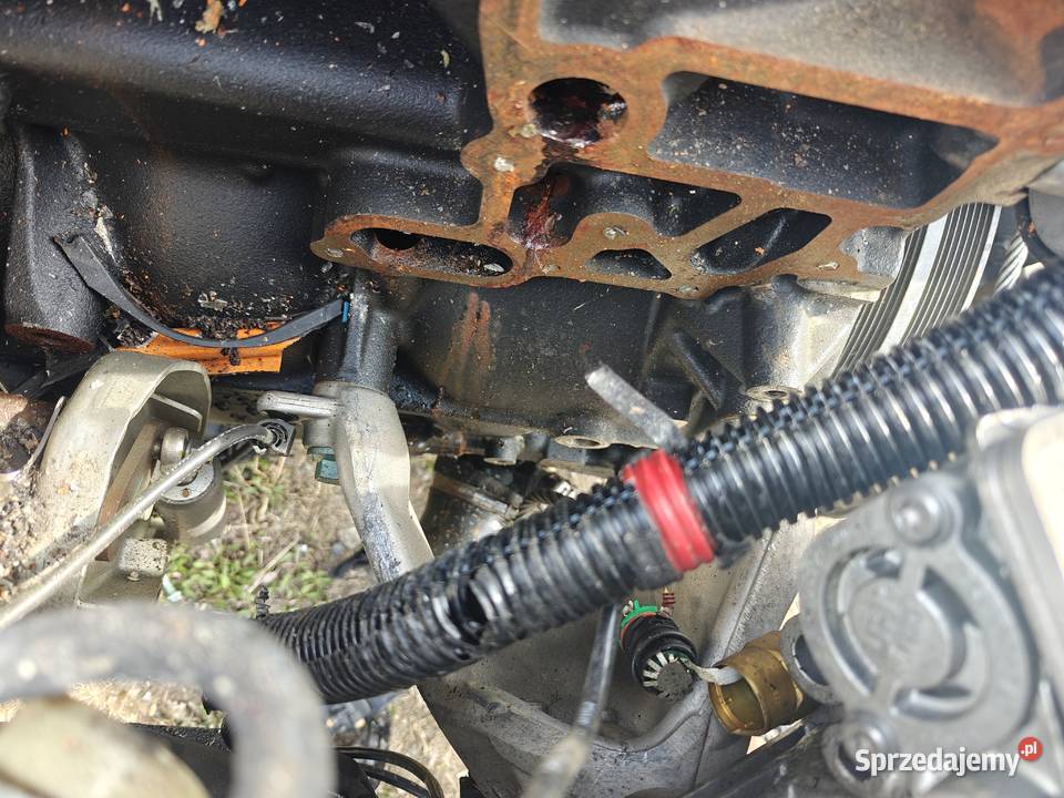 Man TGS 26330 2025r Chodecz sprzedam