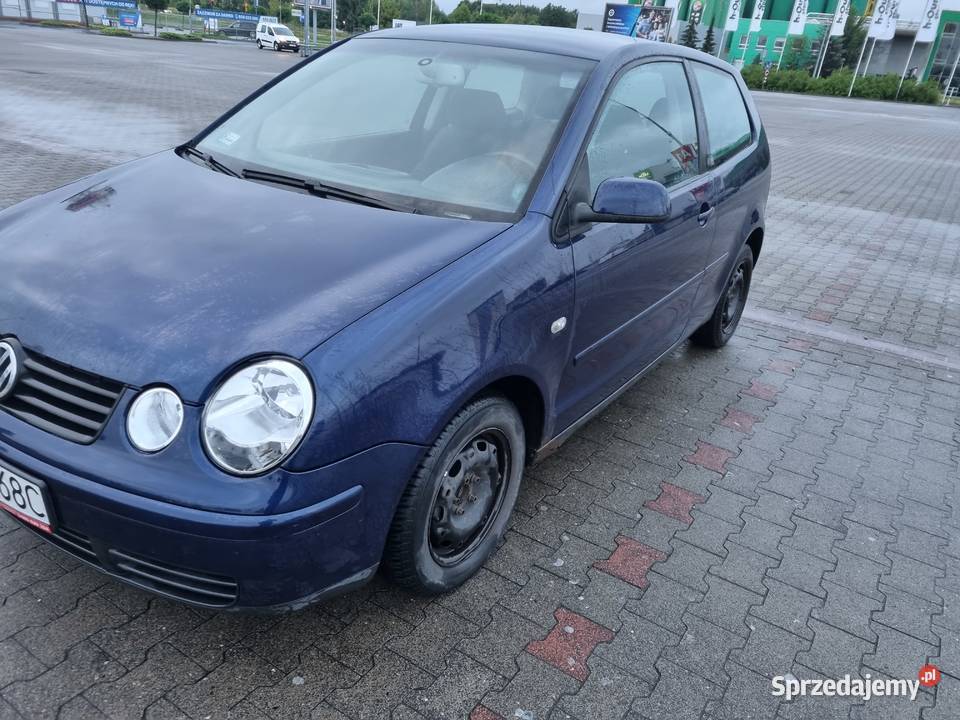 Volkswagen Polo 14 TDI Basis Motoryzacja Poznań