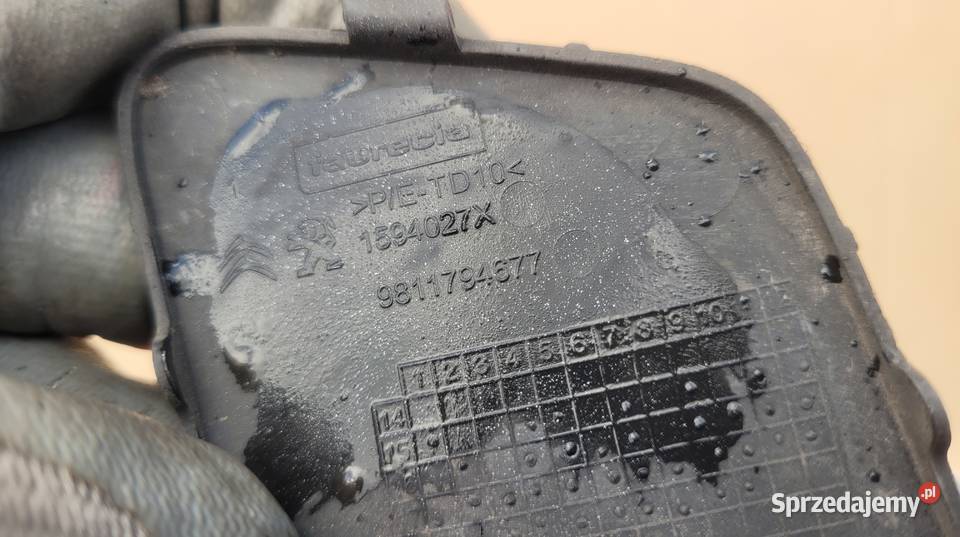 EXPERT JUMPY III ZAŚLEPKA HAKA ZDERZAKA PRZÓD Ruda Śląska